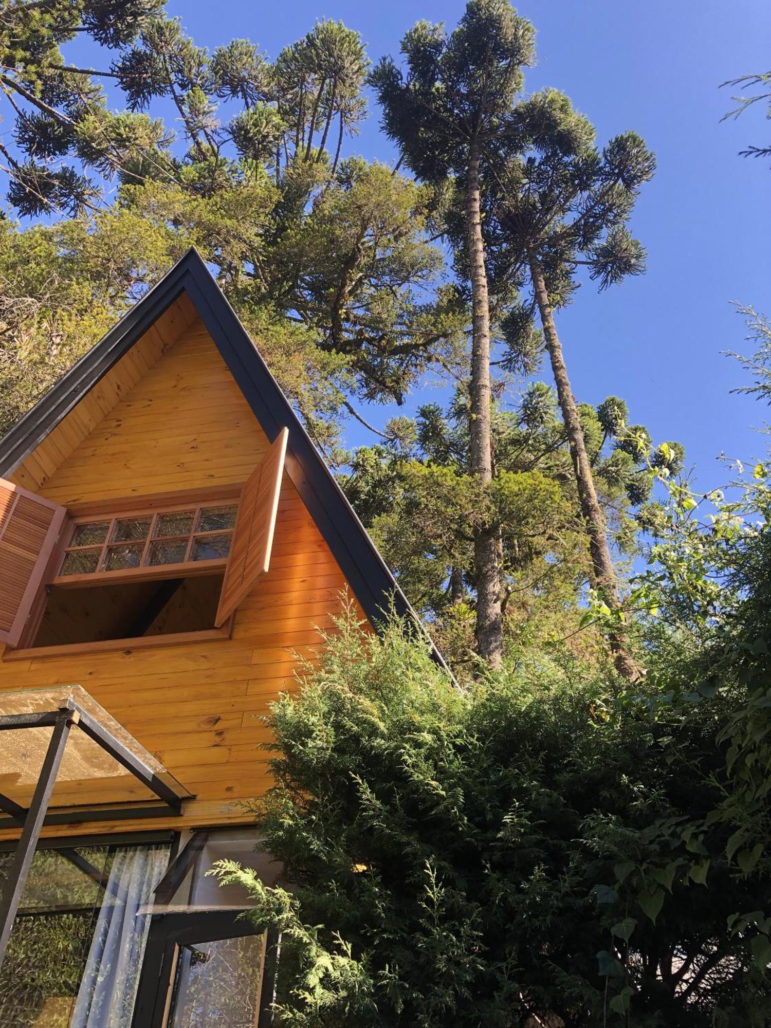 Chale Mon Amour 3 Campos do Jordao Dış mekan fotoğraf