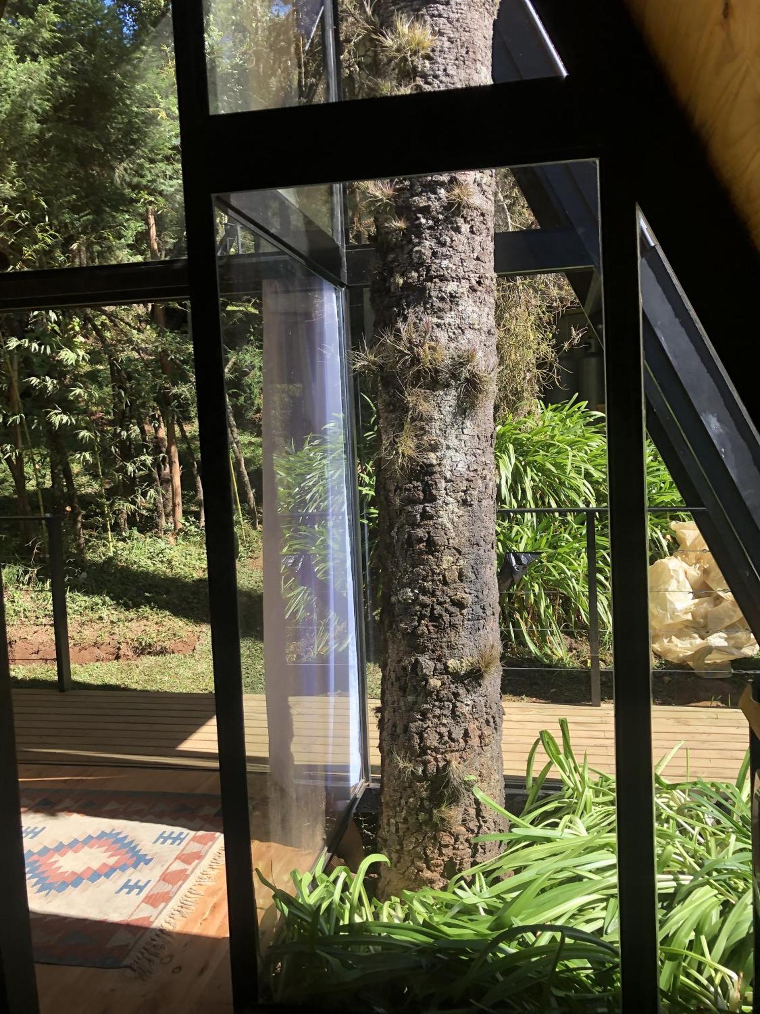 Chale Mon Amour 3 Campos do Jordao Dış mekan fotoğraf